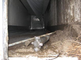 1999 Utility reefer trailer Salvage 1999 Utility reefer trailer Salvage