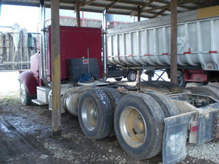 1988 Peterbilt 379 Salvage 1988 Peterbilt 379 Salvage