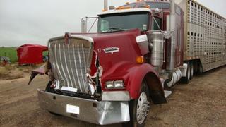 2002 Kenworth W900B Salvage