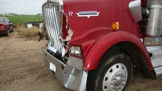 2002 Kenworth W900B Salvage