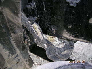 06 Freightliner Columbia Salvage